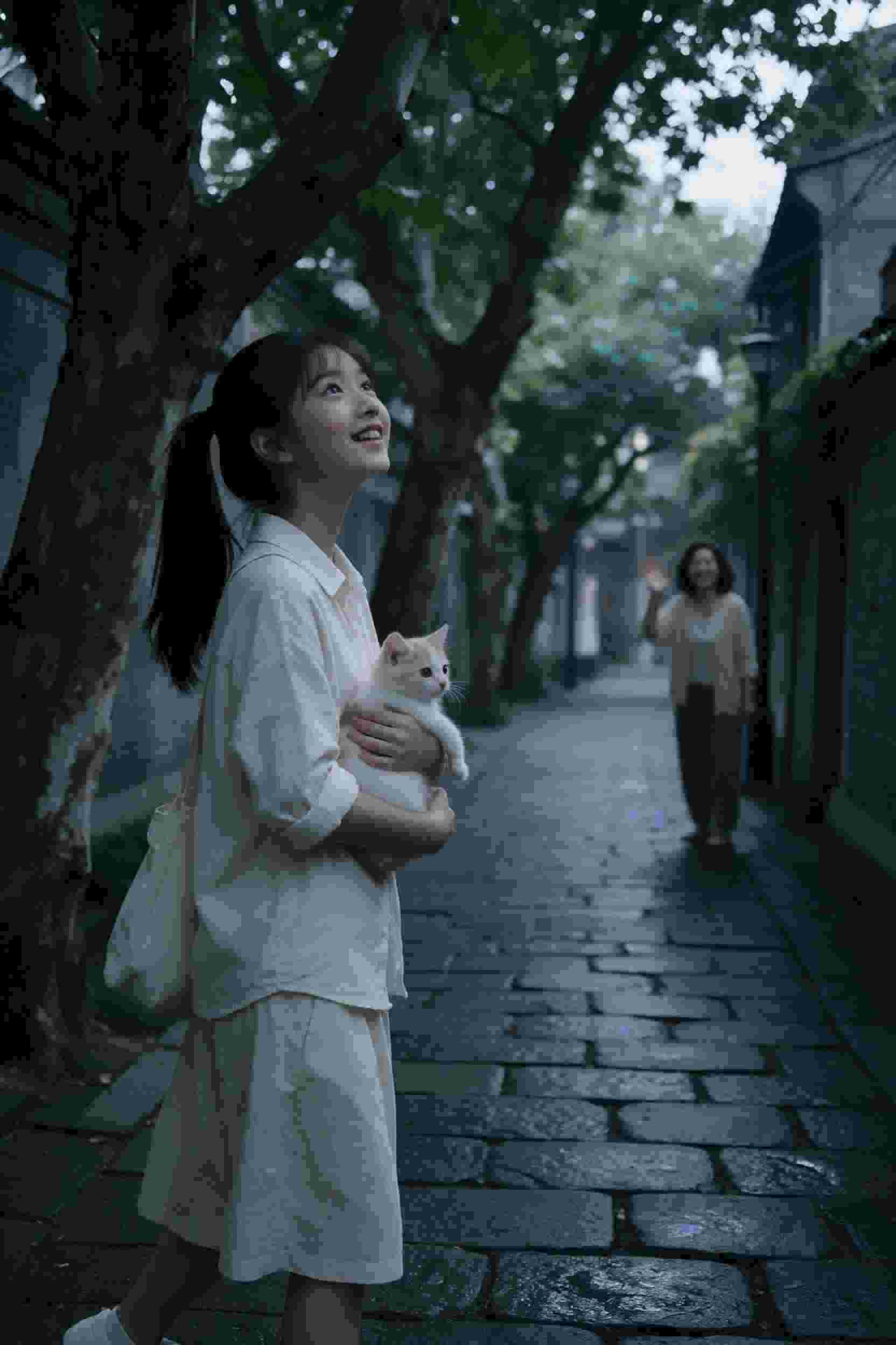 热血漫剧