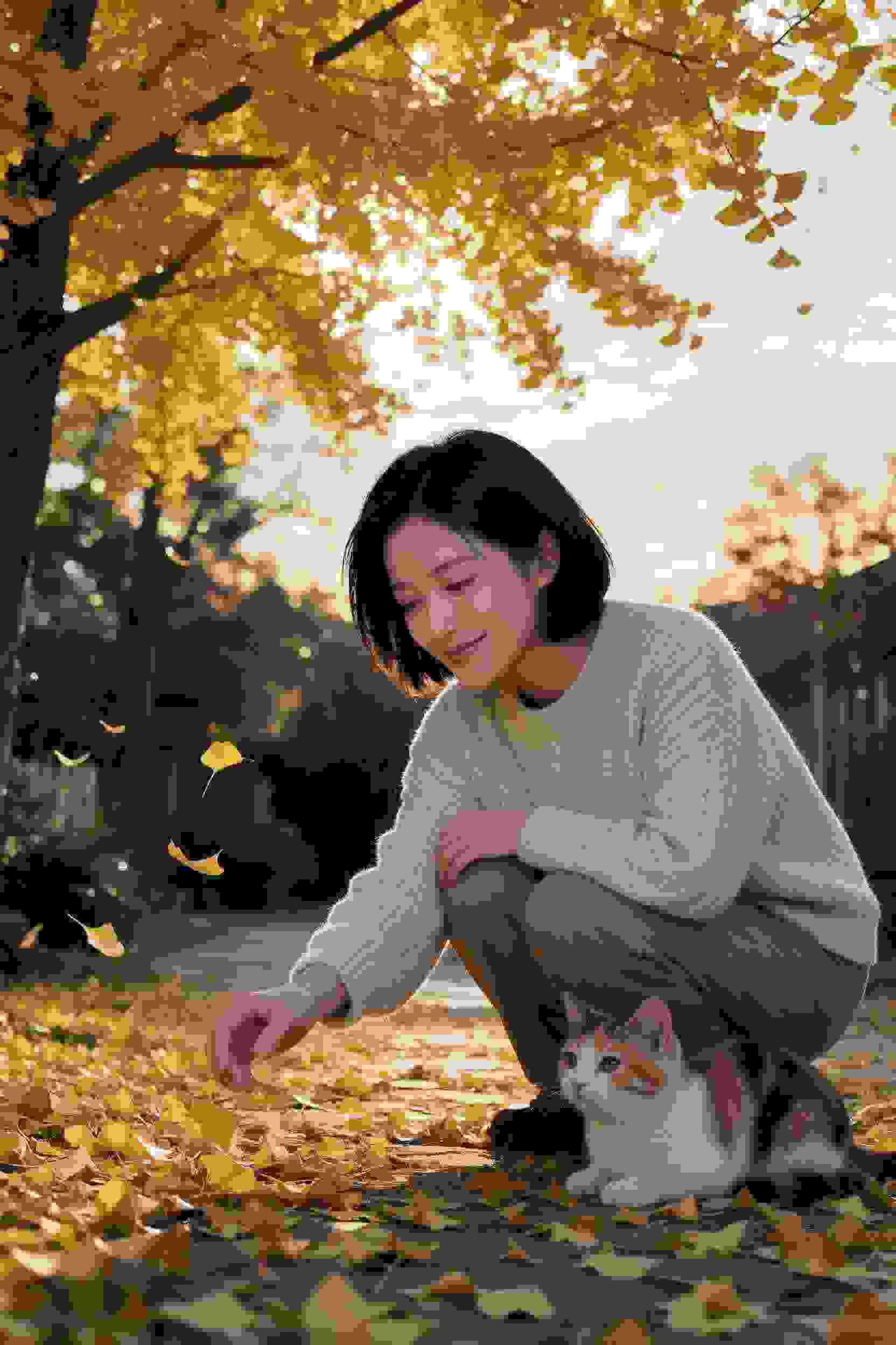 言情漫剧